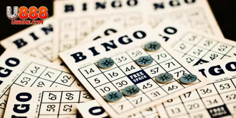 Chi tiết cách chơi Lotto miền Bắc cho người mới