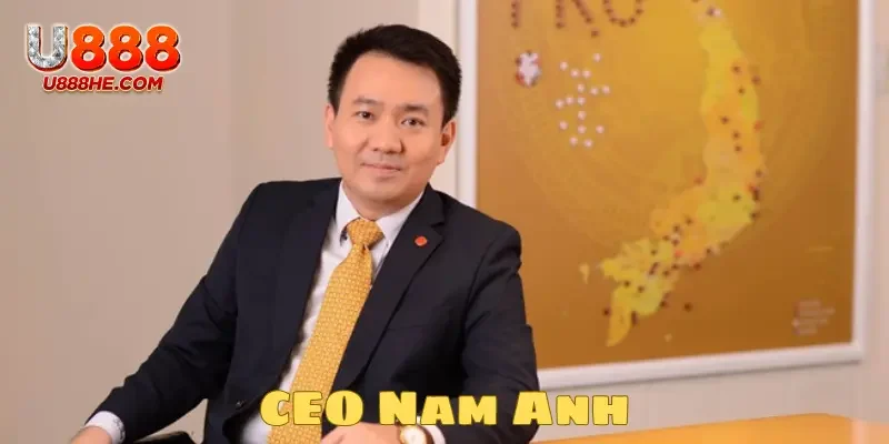 Thông tin về tác giả CEO Nam Anh